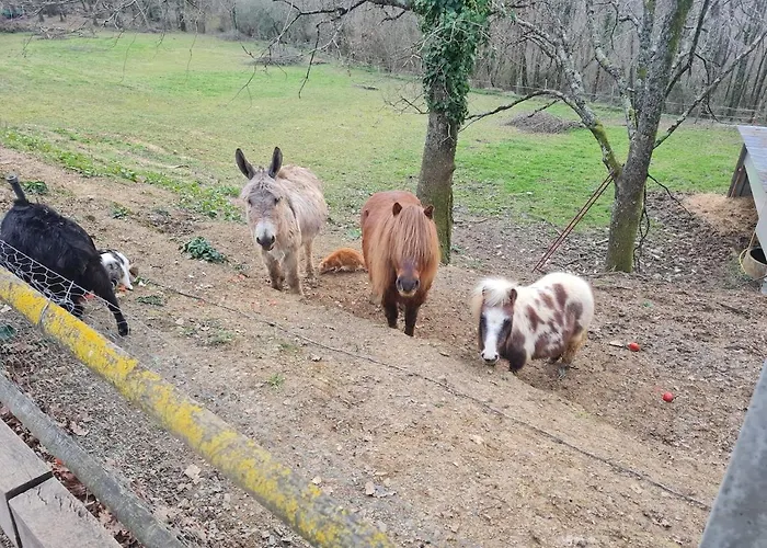 A Caz Beautiful 400 M2 Vacation With Pool Vakantiehuis *